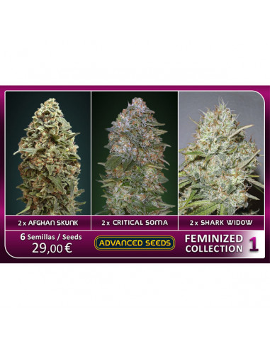 Feminized Collection 1 - Advanced Seeds