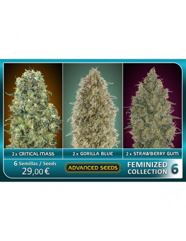 Feminized Collection 6 - Advanced Seeds