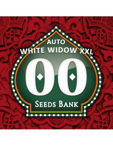 Auto White Widow XXL Fem. 00 Seeds
