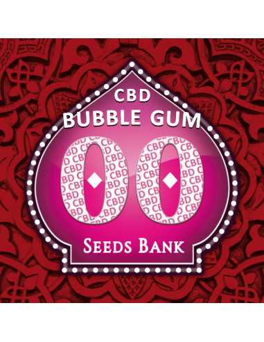 Bubble Gum CBD Fem. 00 Seeds