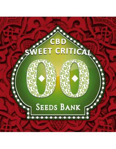 Sweet Critical CBD Fem. 00 Seeds