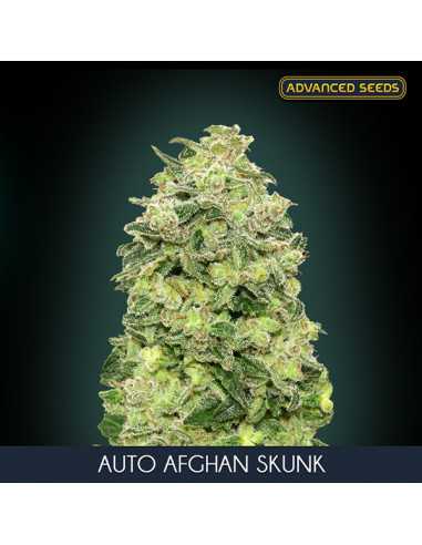 Auto Afghan Skunk Fem. Advanced Seeds