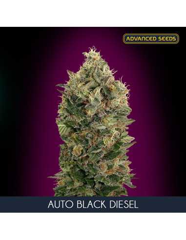 Auto Black Diesel Fem. Advanced Seeds