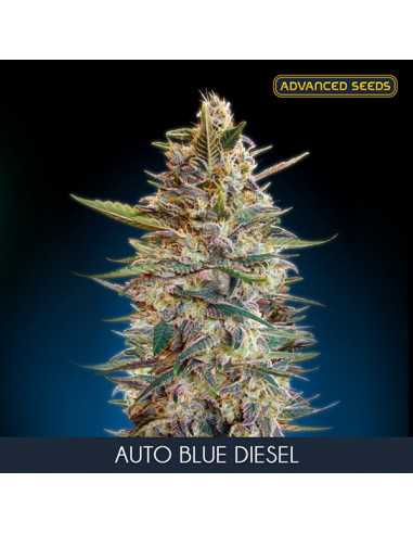 Auto Blue Diesel Fem. Advanced Seeds