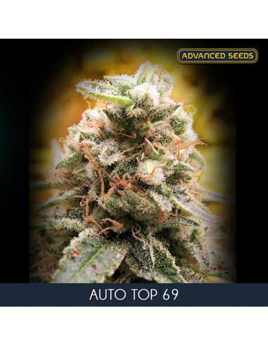 Auto Top 69 - Fem. Advanced Seeds