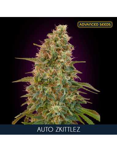 Auto Zkittlez Fem. Advanced Seeds