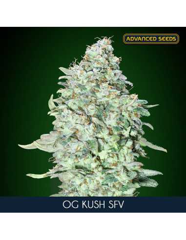 OG Kush S.F.V. Fem. Advanced Seeds