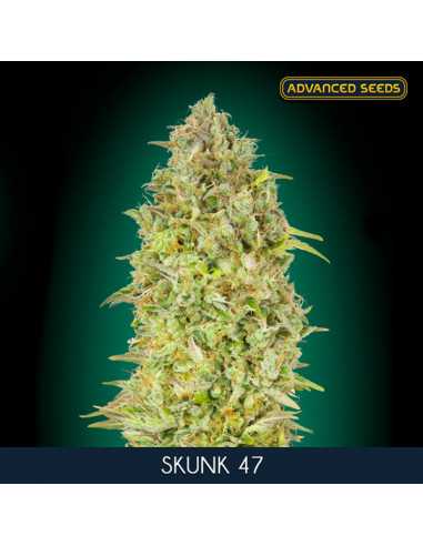 Skunk 47 Fem. Advanced Seeds