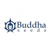 Manufacturer - Buddha Seeds